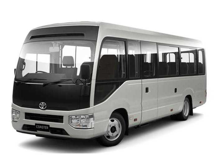 pineapple tours toyota coaster