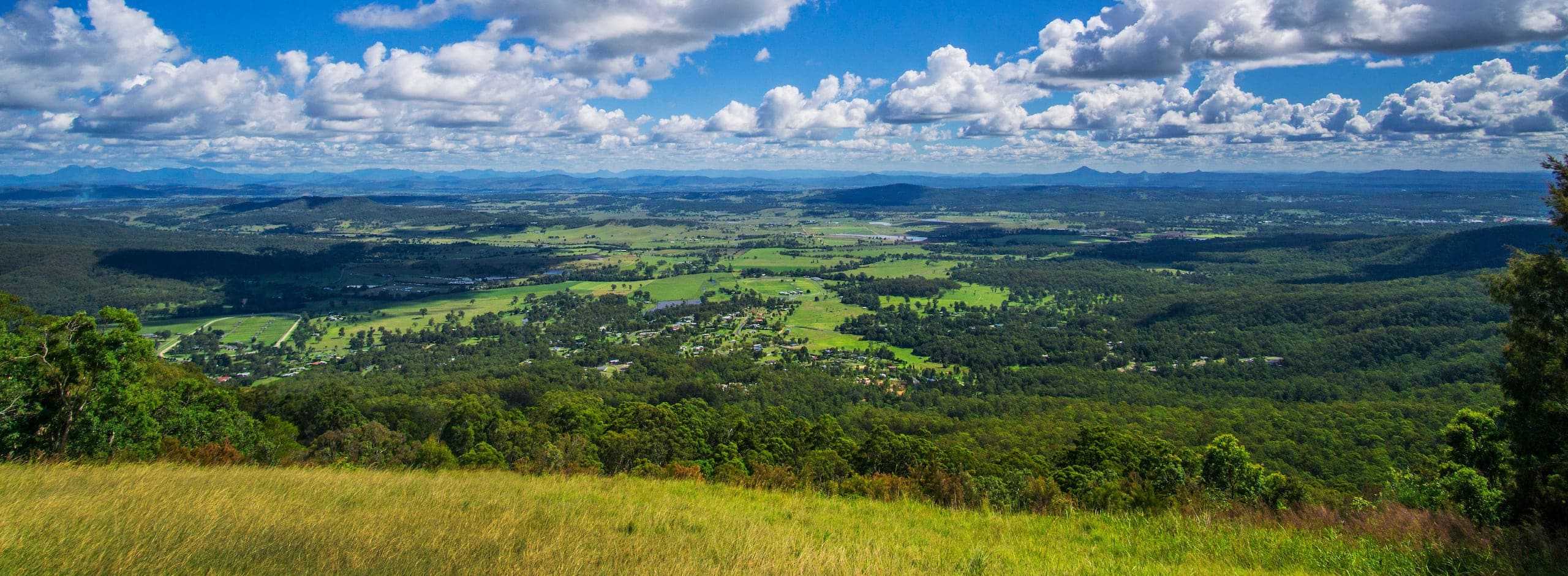 mount tamborine overlooking view