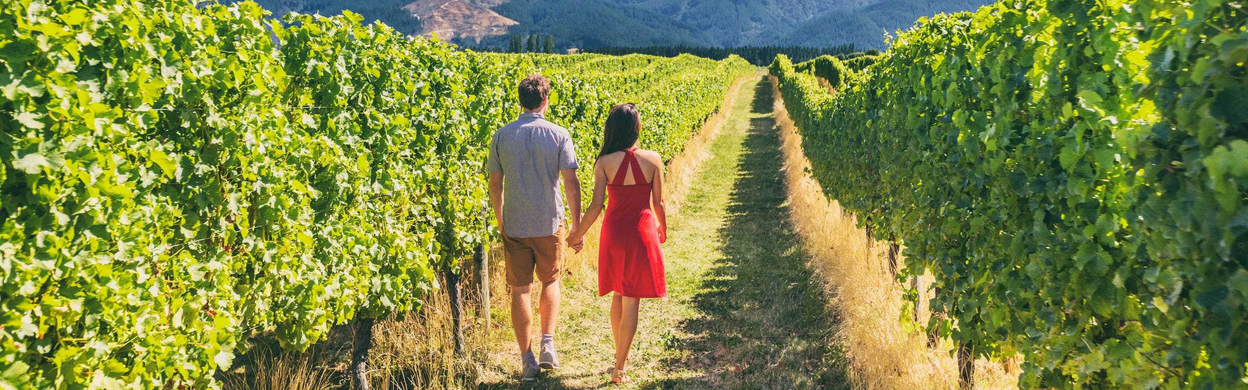 couple walking while holding their hands in a wide grape field