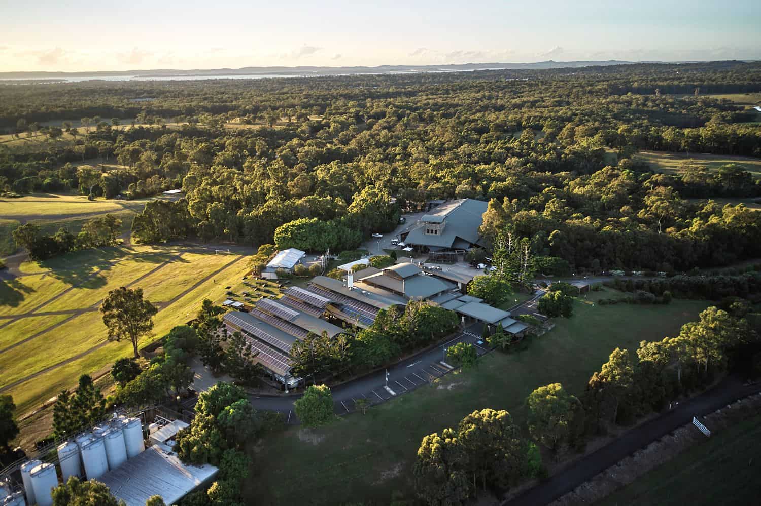 a wide view of pineapple farm