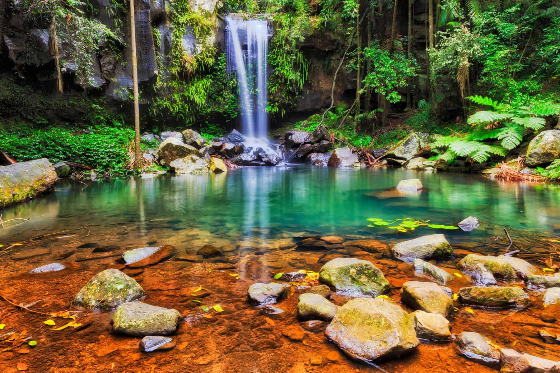 mount tamborine waterfalls tour