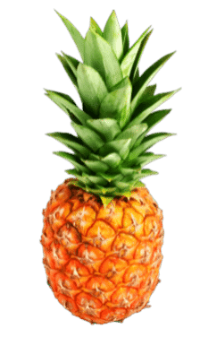 Pineapple Tours