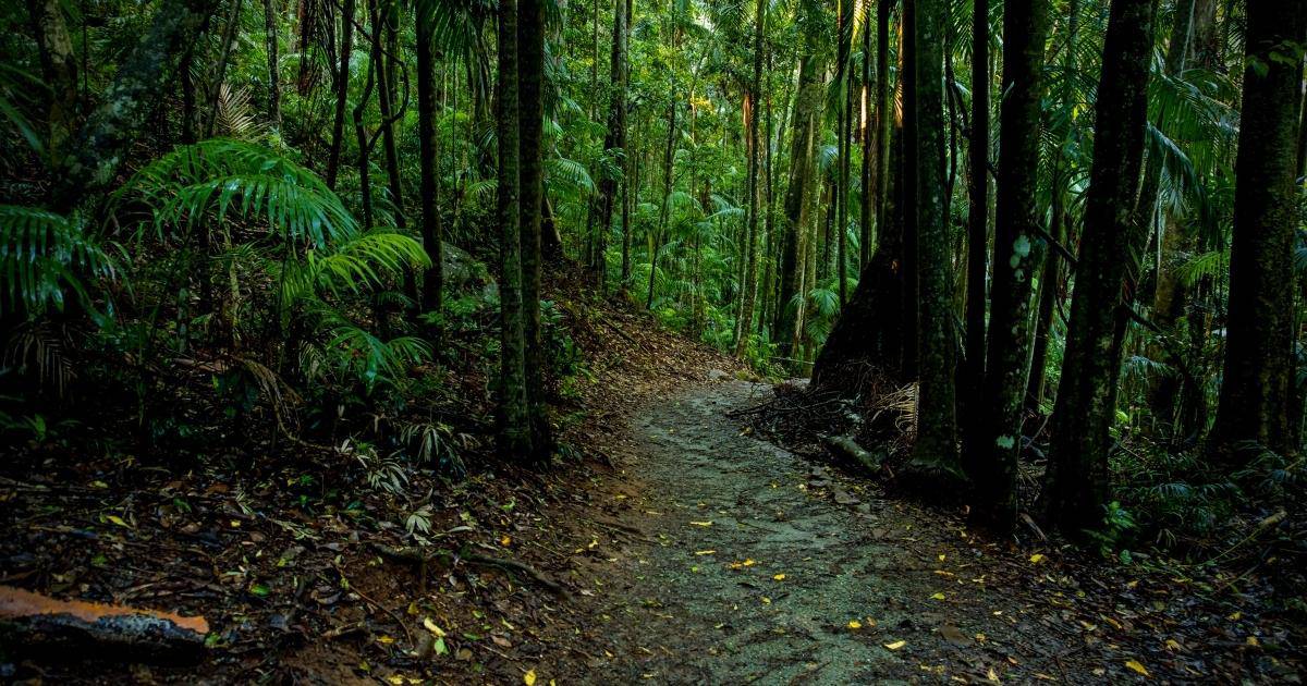 How ‘Mount Tamborine’ came to be