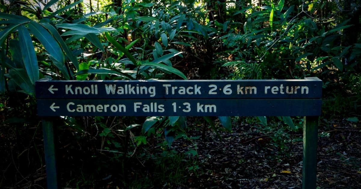 8 Things to Do in Mt. Tamborine