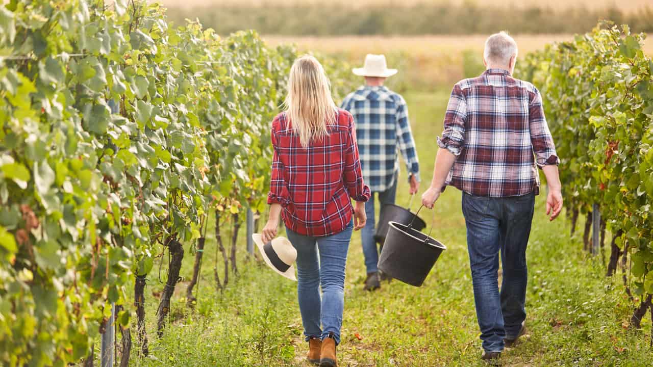 Witches Falls Winery