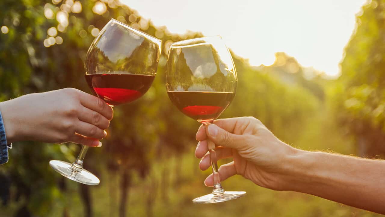 Witches Falls Winery