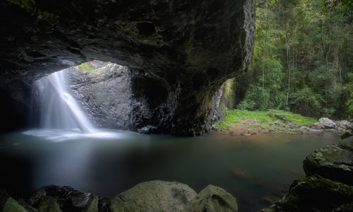 A Tamborine Mountain Adventure