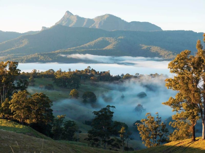 Scenic country views of Mount Warning in the Tweed Range.