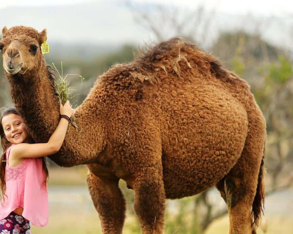 96c287b5404f1752f21736446cc5b0cf