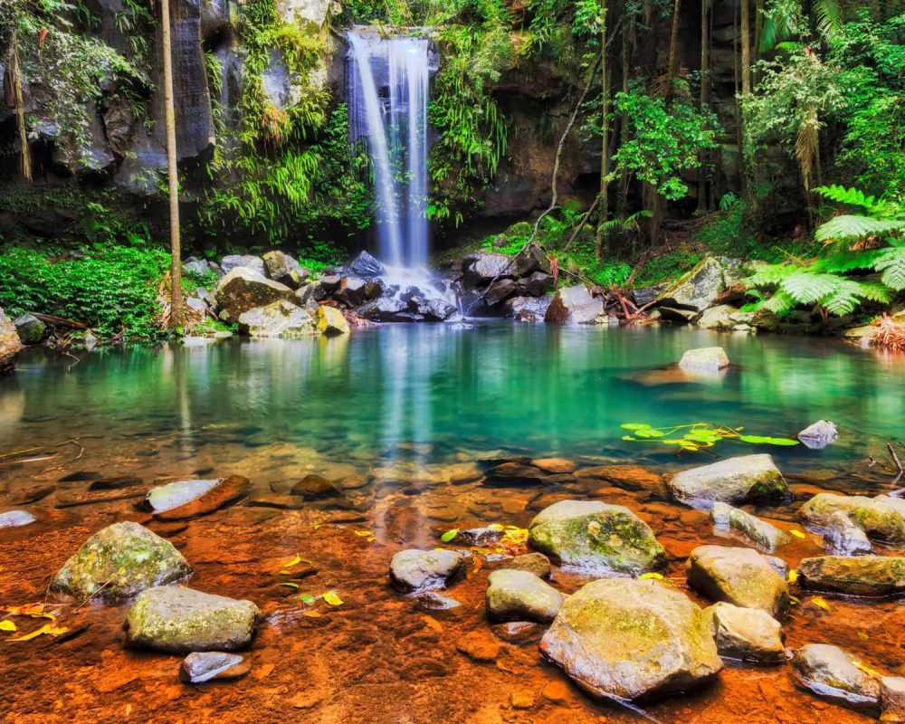 mount tamborine waterfalls tour