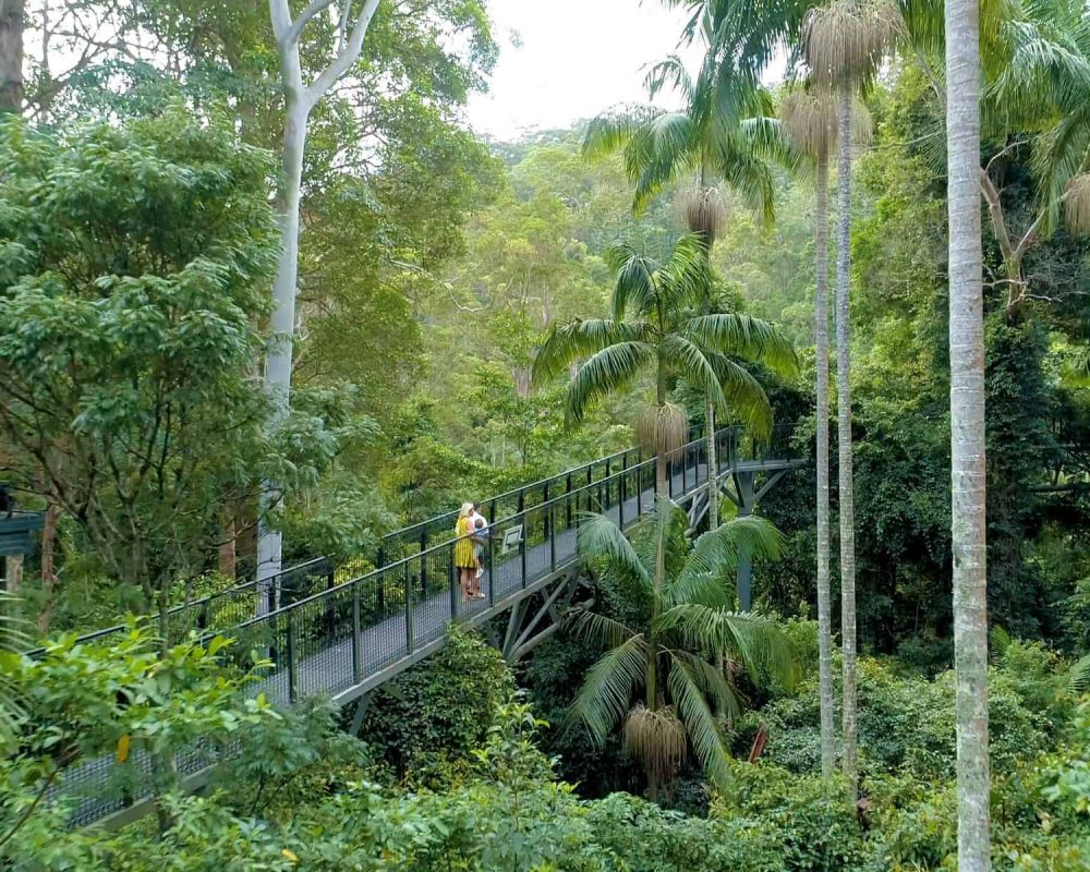 FOATHTV_S003_S001_T02028