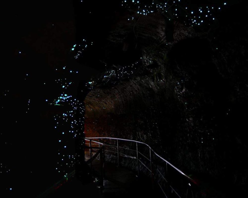 Glow Worms inside the cave