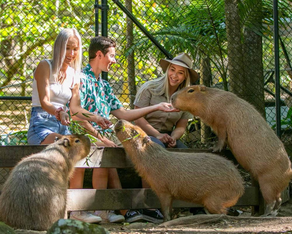 Currumbin Wildlife Sanctuary