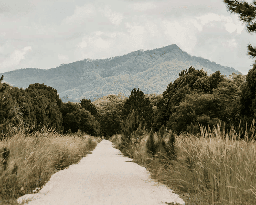 Northern-Rivers-Rail-Trail-socials