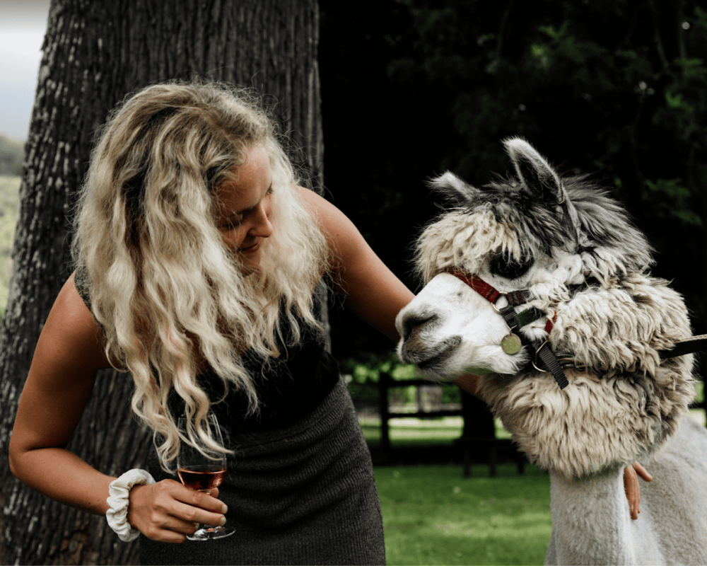a lady with wine and llama