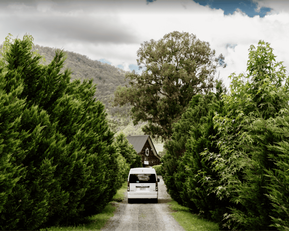 van in a very earthly relaxing view driveway