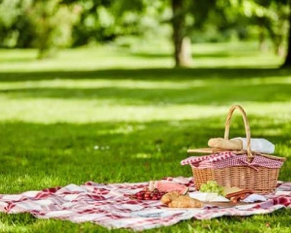 mount tamborine scavenger hunt picnic