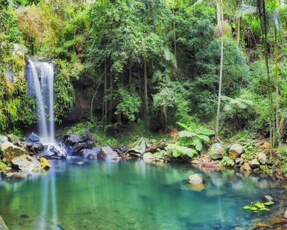 mount tamborine waterfalls tour