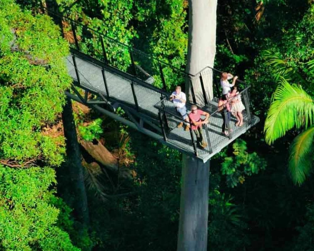 Tamborine-Rainforest-Skywalk-Cantilever-from-Heli-1500x6002