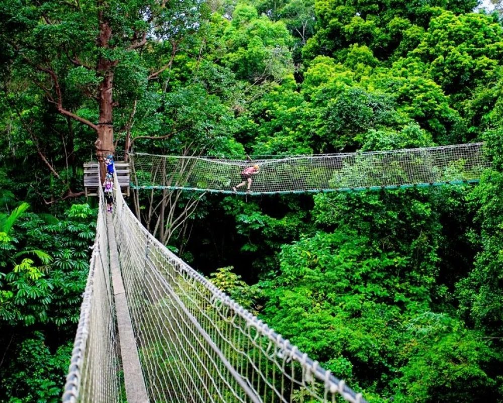 Treetop-Challenge-High-ropes-course