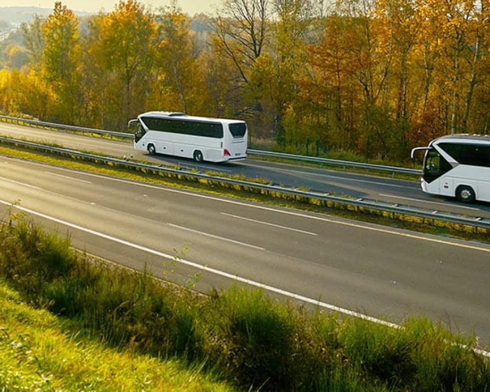 bus-charter