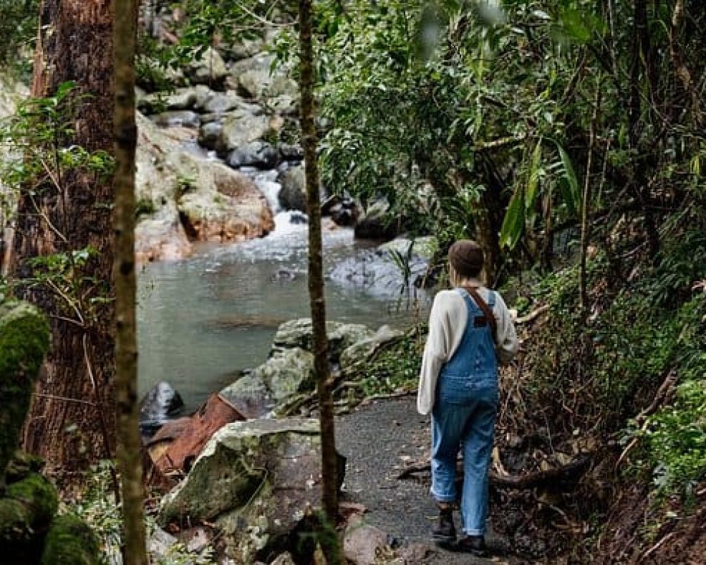 walking-trails-at-tamborine